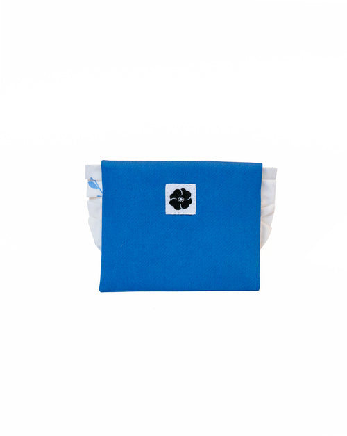 Irys bleu et blanc