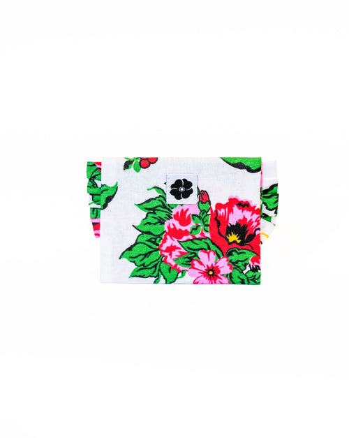 Irys grandes fleurs